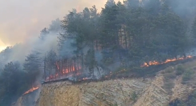 Bolu'da orman yangını başladı: Havadan ve karadan müdahale sürüyor