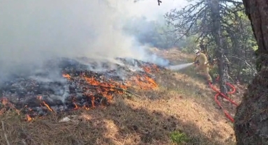 Bolu'da orman yangını: Havadan ve karadan müdahale sürüyor