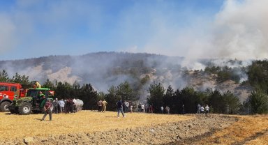 Bolu'daki orman yangını 5. saatinde