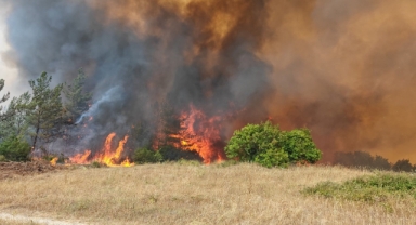 Bursa'da orman yangını kontrol altına alındı   