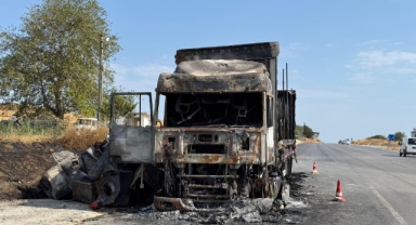Çamaşır makinesi yüklü tır alev topuna döndü