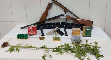 Çamoluk’ta Uyuşturucuya Geçit Yok: 2 Kök Kenevir ve Ruhsatsız Silahlar Ele Geçirildi