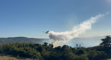 Çanakkale'de tarım arazisinde başlayarak ormanlık alana sıçrayan yangın kontrol altına alındı