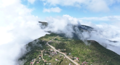 Doğa ve Serinlik Arayanların Yeni Rotası: Giresun ve Trabzon Sınırındaki Sis Dağı Yaylası