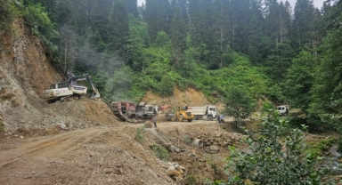 Doğankent'te Altyapı Seferberliği: Başkan Özden, Merkez ve Yayla Yollarındaki Çalışmaları Paylaştı