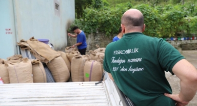 Fındık Alımları İçin Geri Sayım Başladı: FİSKOBİRLİK Tarihi Açıkladı!