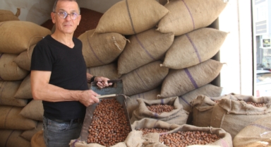 Fındık Fiyatlarında Beklenen Artış Başladı: Giresun’da Rekolte Az, Fiyat Yüksek