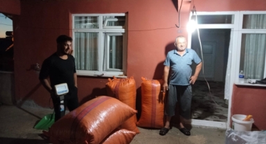 Fındık Pazara İndi: Fiyat Beklentisi Artıyor