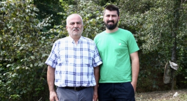 Fındıkta Devrim Gibi Yöntem: Giresun’da Dönüm Başına 250 Kg Verim