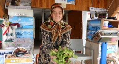 Fındıkta Rekolte Düşük, Talep Yüksek: Giresun'da Fiyatlar Tırmanıyor