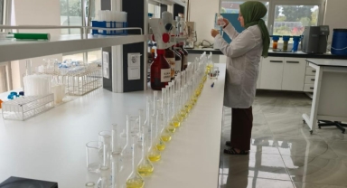 Fındıkta Verimi Artırmak İsteyenler Dikkat! Yaprak Analizi İçin Son Günler