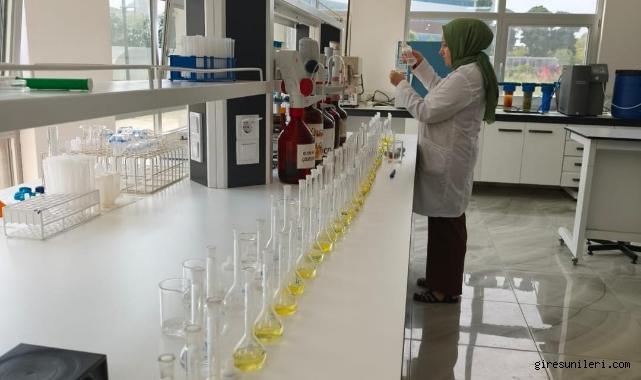 Fındıkta Verimi Artırmak İsteyenler Dikkat! Yaprak Analizi İçin Son Günler