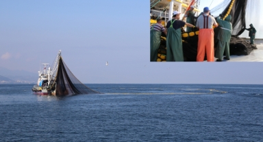 Giresun'da Av Sezonu Başlıyor: Hamsi, Kalkan ve Salyangoz Avcılığına Yeni Düzenleme