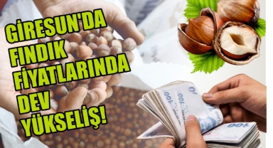 Giresun'da fındık fiyatlarında dev yükseliş! Giresun fındık piyasasında son durum