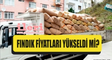 Giresun'da fındık piyasasında son durum… Fındık fiyatları yükseldi mi?