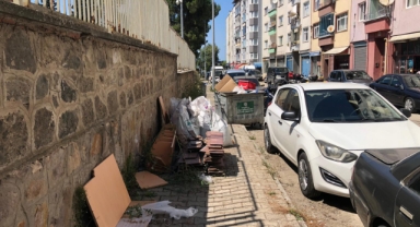 Giresun’da Kaldırımlar Çöp ve Otlarla Kapandı: Vatandaşlar Belediyeye Tepkili