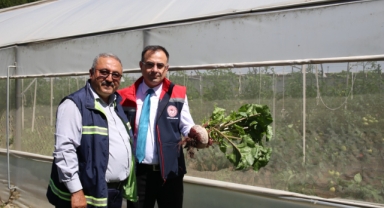 Giresun'da Tarıma Büyük Destek: İl Tarım Müdürü Yılmaz Dereli’de Üreticilerle Buluştu