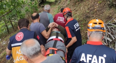 Giresun'da uçurumdan düşen vatandaş yaralandı