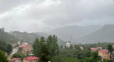 Giresun’da Yağmur Fındık Üreticisine Nefes Aldırdı