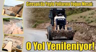 Giresun’da Yayla Yollarına Yoğun Mesai: O Yol Yenileniyor!