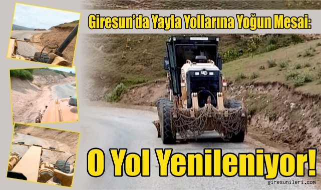Giresun’da Yayla Yollarına Yoğun Mesai: O Yol Yenileniyor!