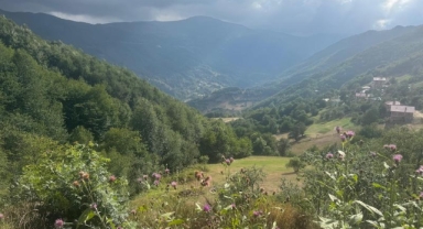 Giresun Kulakkaya Yaylası Turizmde Yükseliyor: Yeni Projeler ve Yatırımlar Devam Ediyor