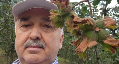 Giresun Milletvekili Temür’den Fındık Sezonu Mesajı: 'Fındığını Emanete Verme, Fiyatına Sahip Çık'