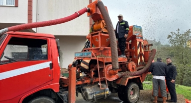 Giresun Milletvekili Temür, Fındık Hasadını Patoza Verdi