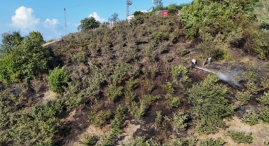 Giresun Piraziz’de Fındık Bahçelerinde Yangın Paniği!