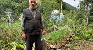 Giresun'un manevi değerlerinden Hacı İlyas'ın mezarının türbeye dönüşmesi isteniyor