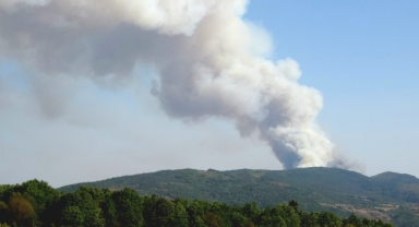 Karabük'te ormanlık alanda çıkan yangına müdahale ediliyor