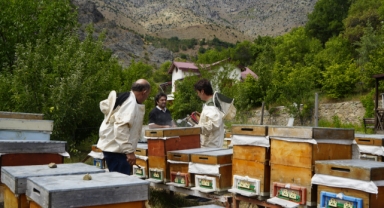 Karadeniz'in o kentinde 2025 yılı bal hasadı üreticilerin yüzünü güldürdü