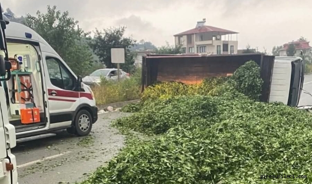 Kaza sonrası yola saçılan kamyon kasasındaki 10 ton çayı böyle temizlediler