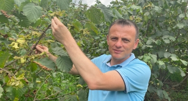 Keşap Belediye Başkanı Arışan’dan Hasat Mesajı: ‘Fındık, Bu Toprakların Alın Teri, Geleceğidir’