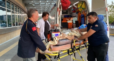 Motosiklet kazasında ağır yaralanan sürücü hayatını kaybetti