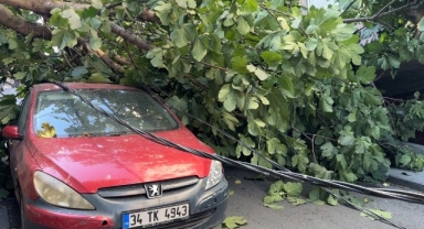 O sokakta ağaç ve elektrik direği araçların üzerine devrildi