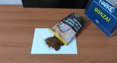 Ordu'da uyuşturucu ele geçirilen otomobildeki 2 zanlı tutuklandı