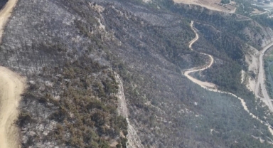 Orman yangınında zarar gören alanlar dronla görüntülendi