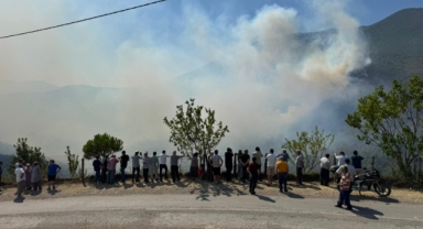 Ormanlık alanda çıkan yangına müdahale ediliyor