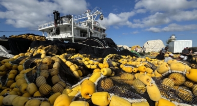 Palamuttan ümidini kesen balıkçılar, ağlarını hamsi için onardı