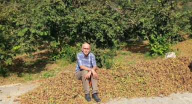 TMO 2025 fındık fiyatlarını açıkladı, gözler serbest piyasada