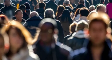 TÜİK Temmuz İşgücü Verileri: İşsizlik Oranı ve İstihdamda Son Durum