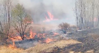 Yozgat’ta peş peşe çıkan yangınlar korkuttu