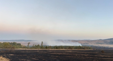 Çorum'da çıkan orman yangınına müdahale ediliyor