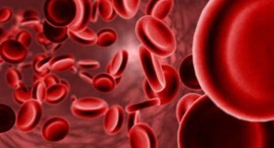 Demir eksikliği enfeksiyonlara davetiye çıkarıyor