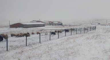Doğu Karadeniz'in yüksek kesimleri beyaza büründü