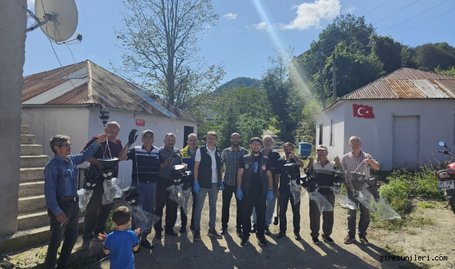 Fındık Bahçelerinde Kahverengi Kokarca Alarmı! Giresun’da Tuzak Dağıtımı Sürüyor