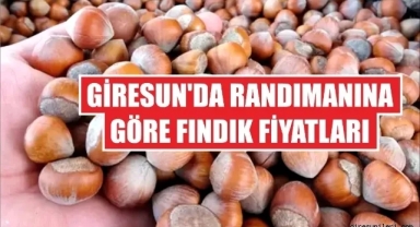 FİSKOBİRLİK, Giresun Kalite Fındık Fiyatlarını Açıkladı! Fındık Alım Fiyatları Ne Kadar?