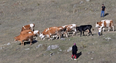 Genç muhtarın Türkiye'ye ilham veren başarı hikayesi