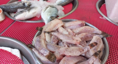 Giresun'da balık fiyatları bugün ne kadar?